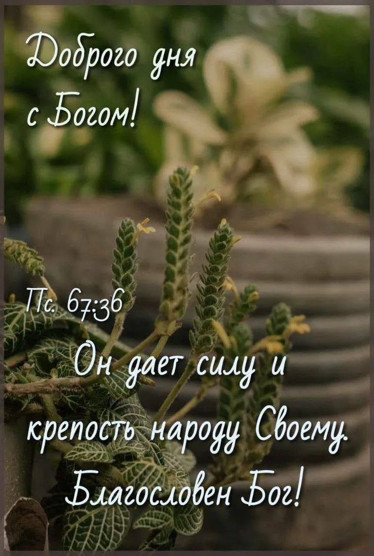 ❤️❤️❤️❤️Открытки❤️❤️❤️❤️
Теперь и в MAX