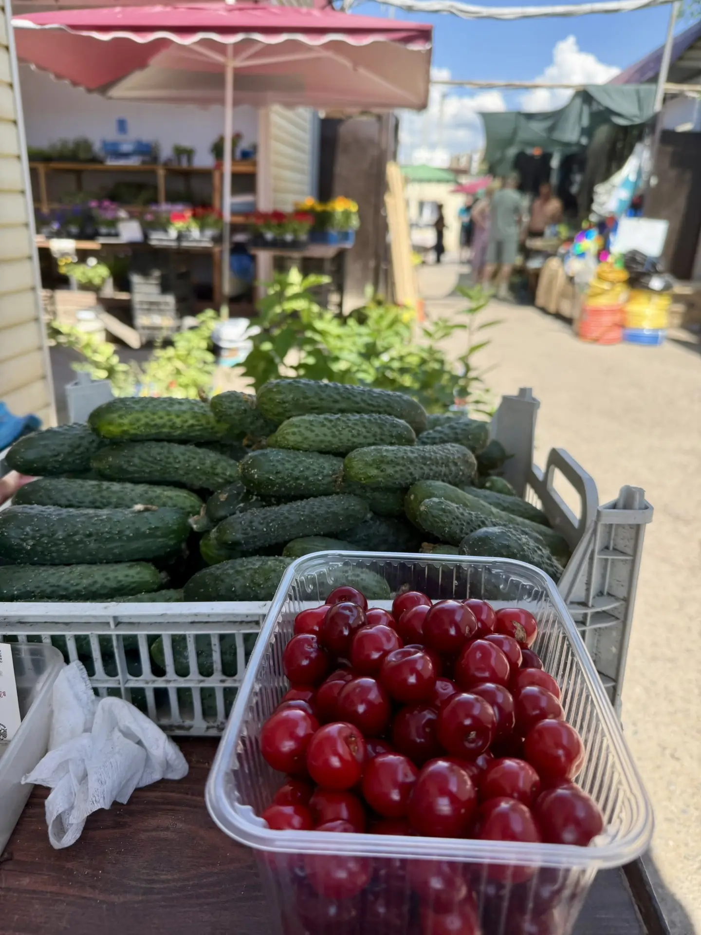 🥒 Местные огурцы уже на рынке!

Свежие, хрустящие, своё — из Горной 😊

🥒 Огурцы местные — 120 руб
