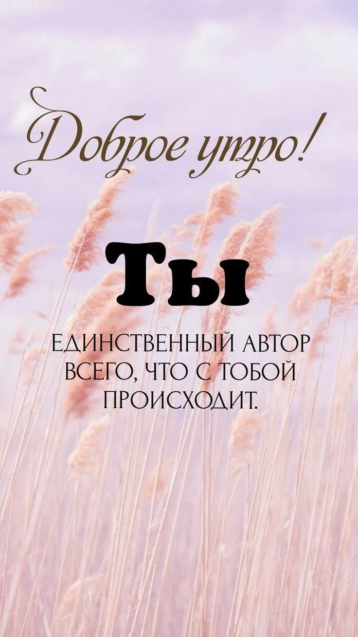 Доброе утро!
Каждое утро — это чистый холст, и только вы решаете, какими красками его расскрасить. С