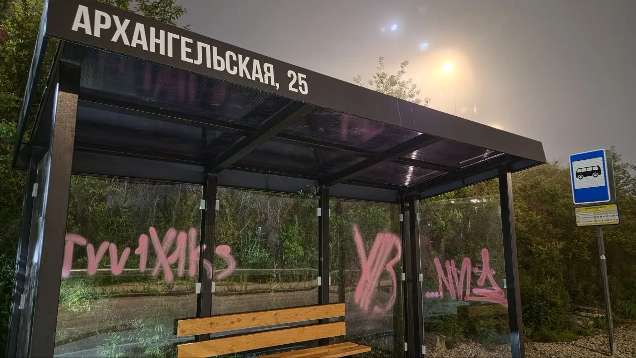 Какие-то дегенераты, вероятно мелкие, завандалили павильон остановки Архангельская 25.

Да отсохнут 