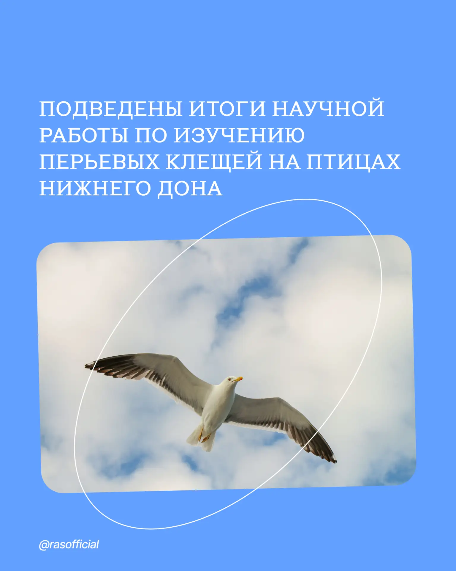 Подведены итоги научной работы по изучению перьевых клещей на птицах Нижнего Дона

Учёные Зоологичес
