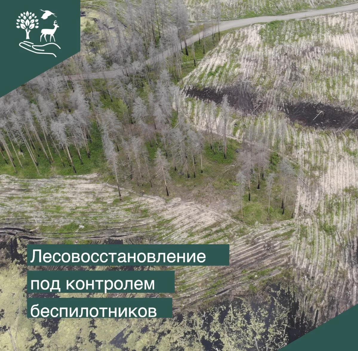 🚀 Технологии на страже леса. 

На территории Курганской области проводится техническая приемка рабо