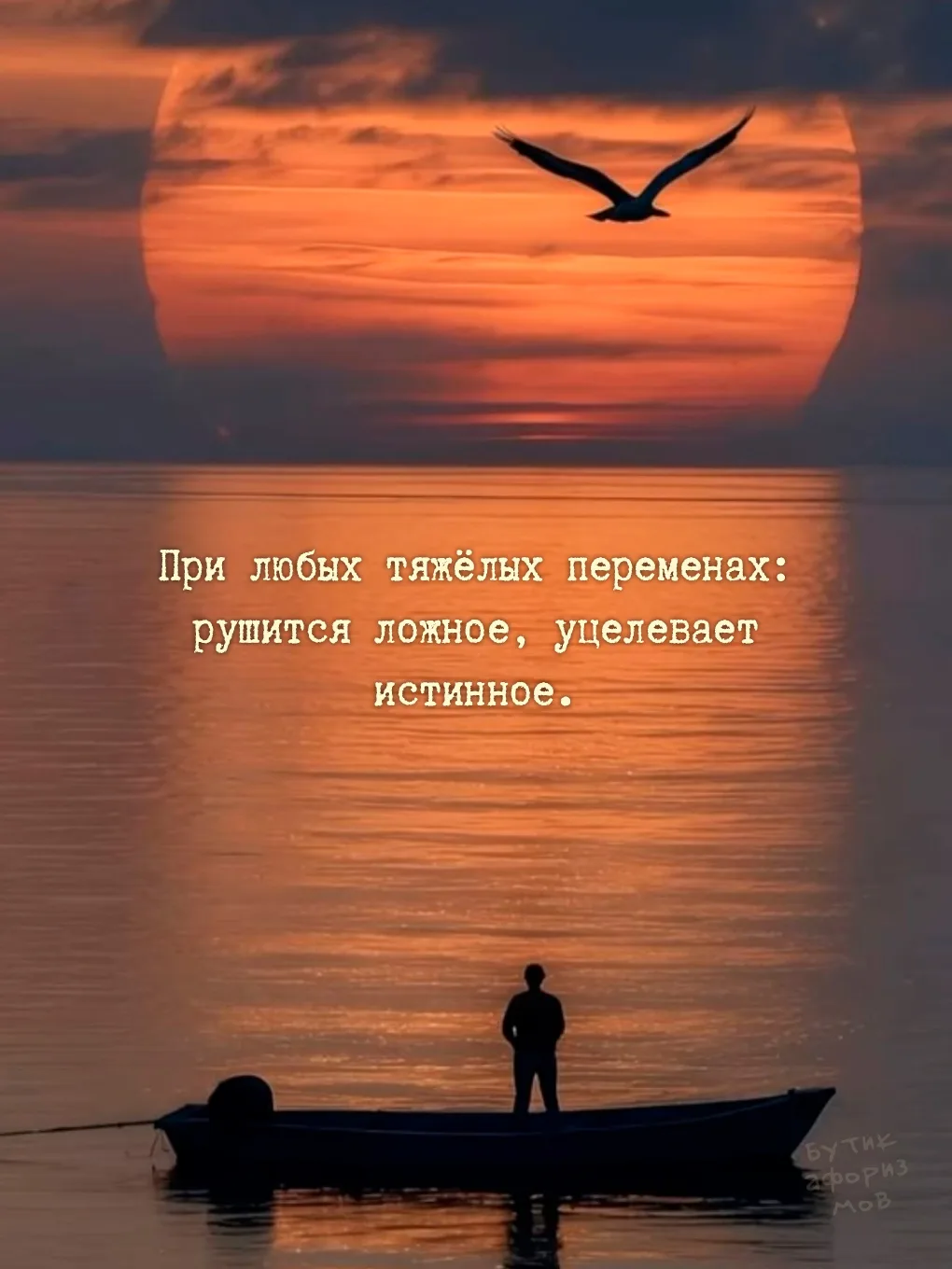Бутик афоризмов | Литература