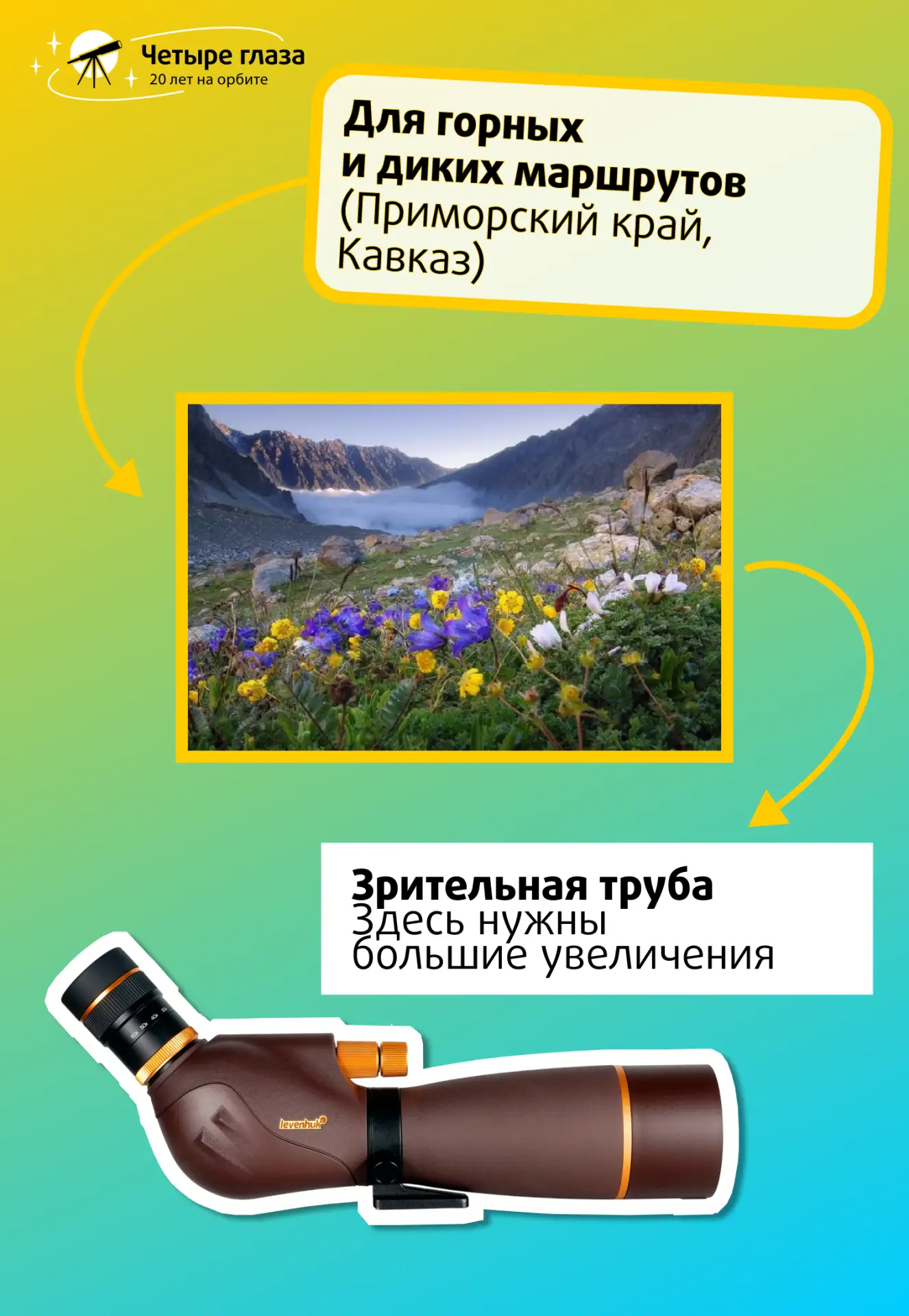 Куда едем в этом сезоне? Топ-5 направлений и ваш идеальный спутник 🗺️

Статистика путешествий по Ро