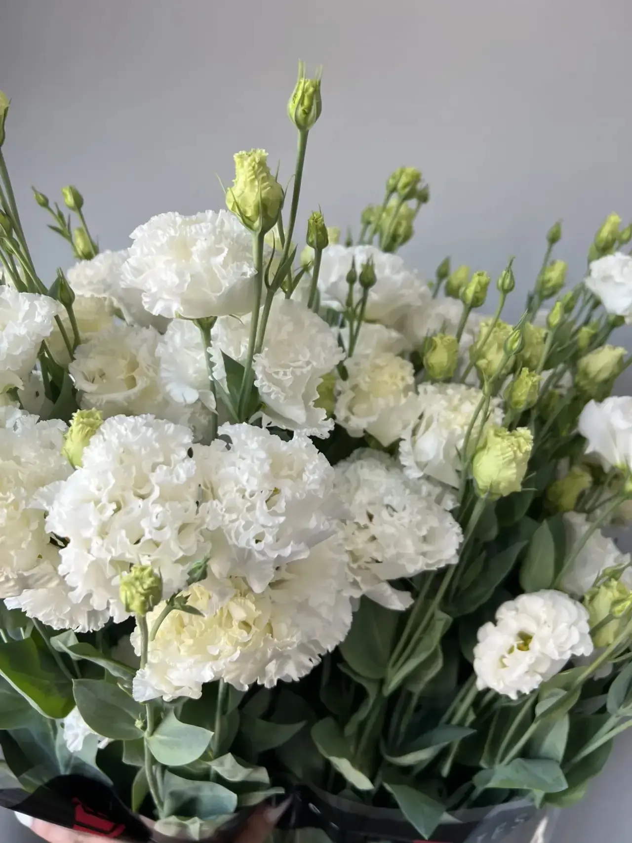 Сегодня у нас большое поступление нежнейшей эустомы🥰. С теплицы сразу к нам в мастерскую.🌸

📱 для