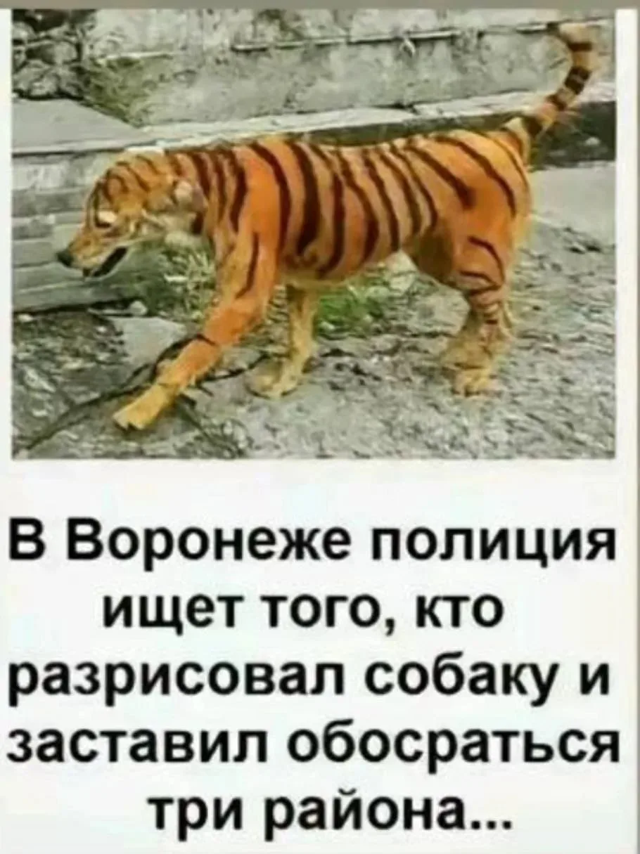 😂😂😂

Смех без тормозов • подписаться