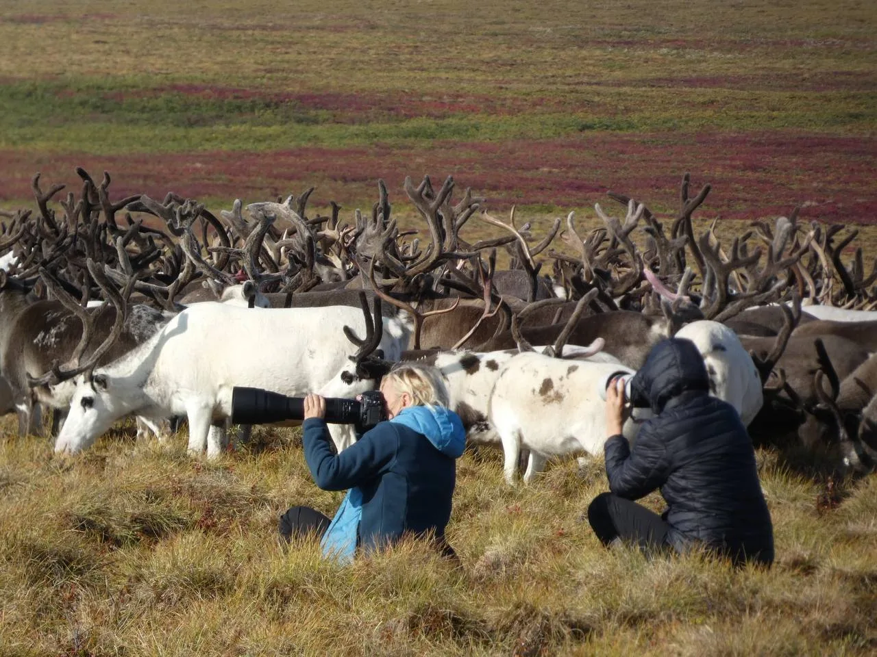 Любите фотографировать? Покажите Россию на конкурсе «Русская цивилизация»

Стартовал прием заявок на