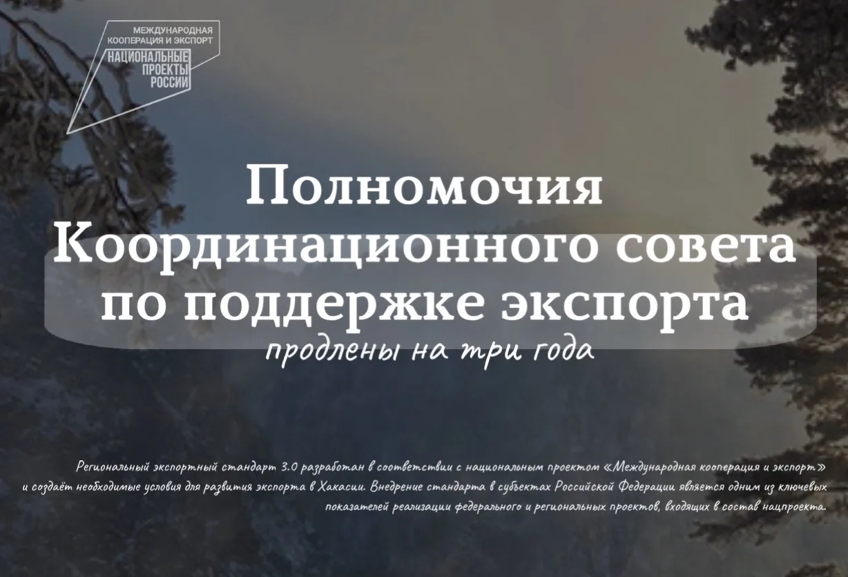 Полномочия Координационного совета по поддержке экспорта продлены на три года

Российский экспортный