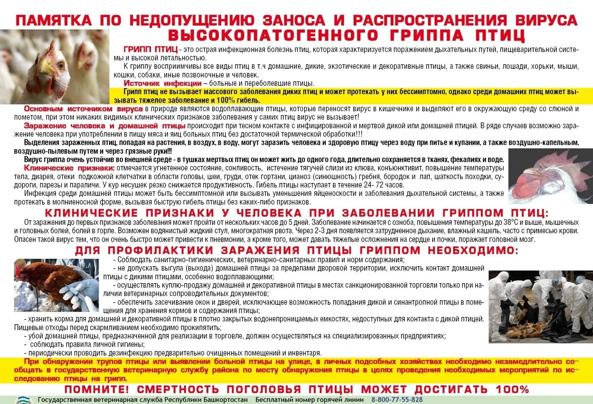 Профилактика птичьего гриппа 
Что такое птичий грипп?  Высокопатогенный грипп птиц — это высококонта