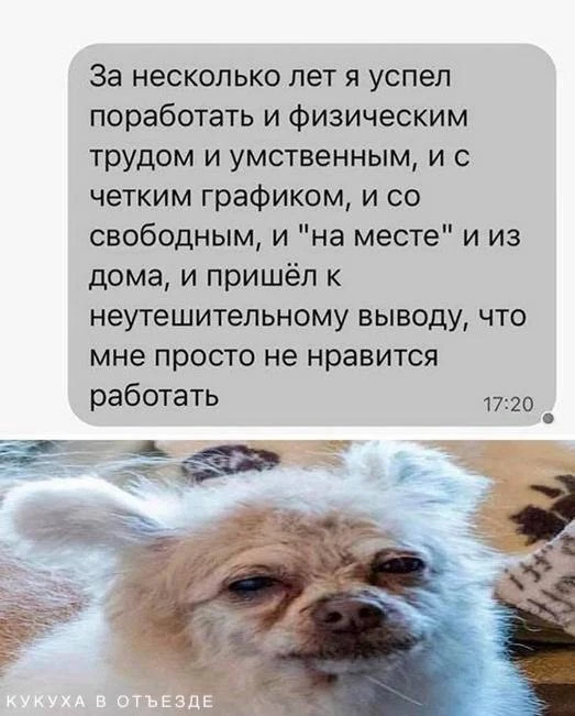 Кукуха в отъезде 🐦