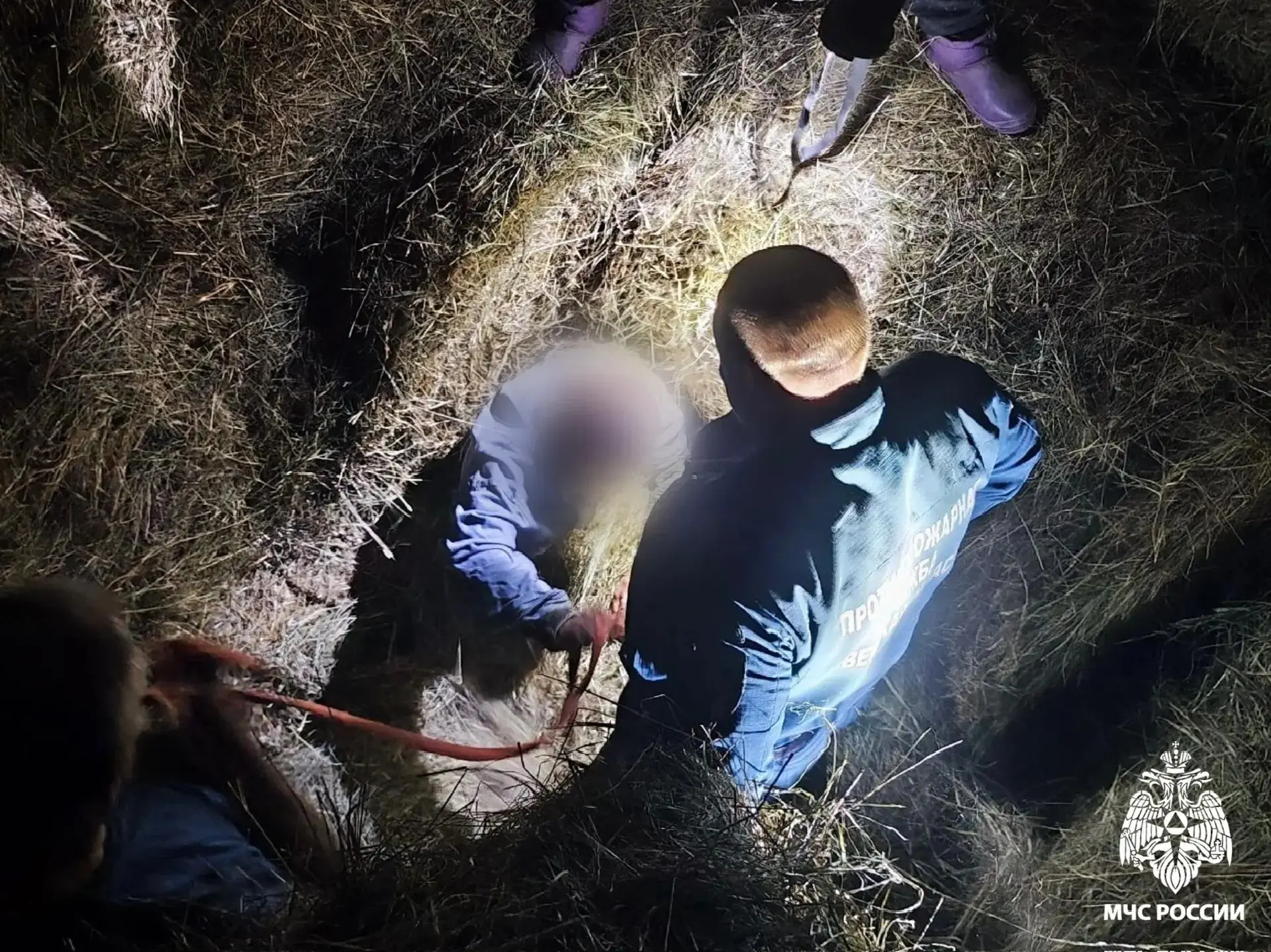 Сено: 0
Спасатели: 1 👨‍🚒

Странная, удивительная, но жуткая история приключилась в посёлке Восход 