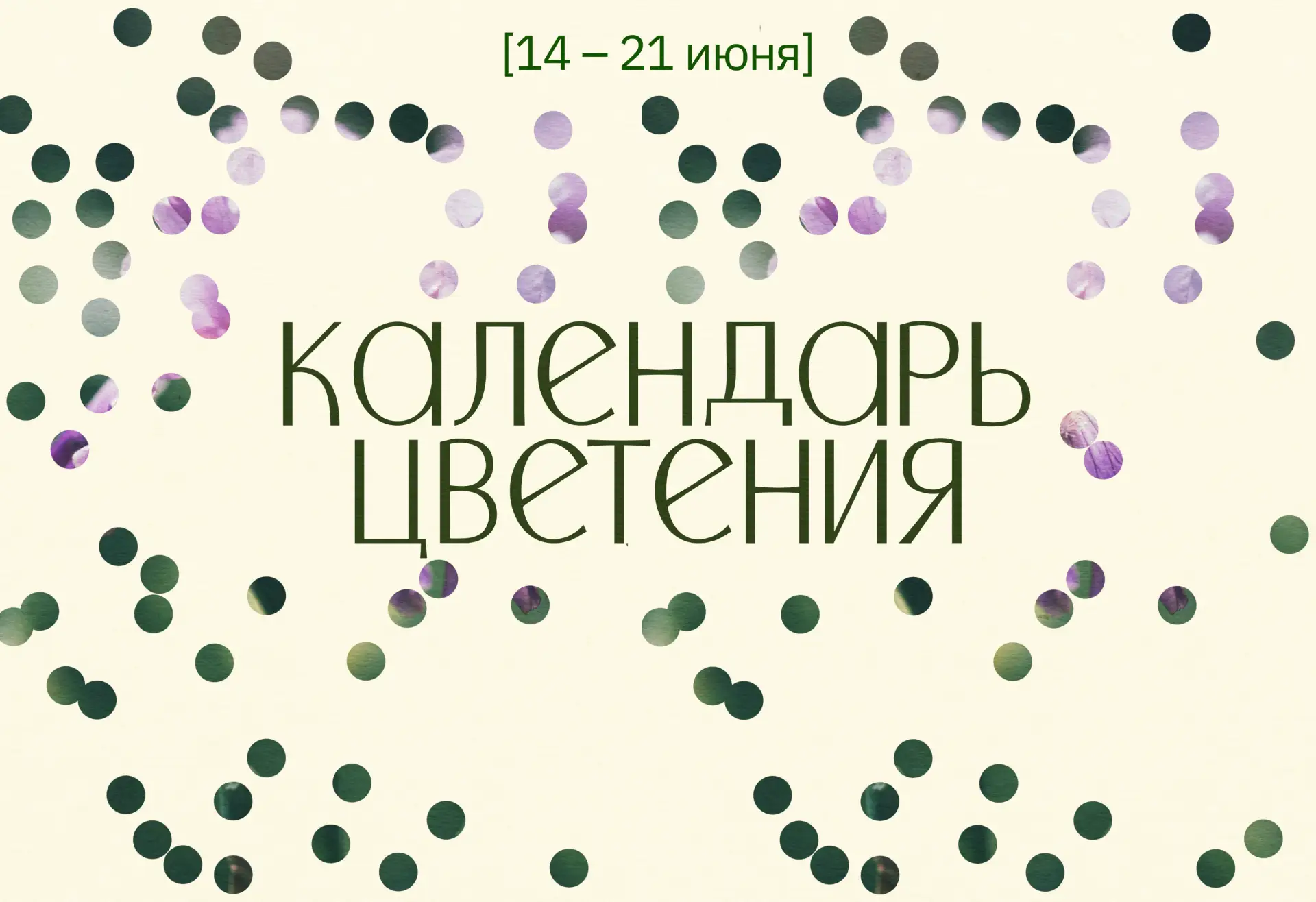 А вот и новая порция календаря цветения🌸

Сейчас историческая часть зооботсада — это идеальное врем
