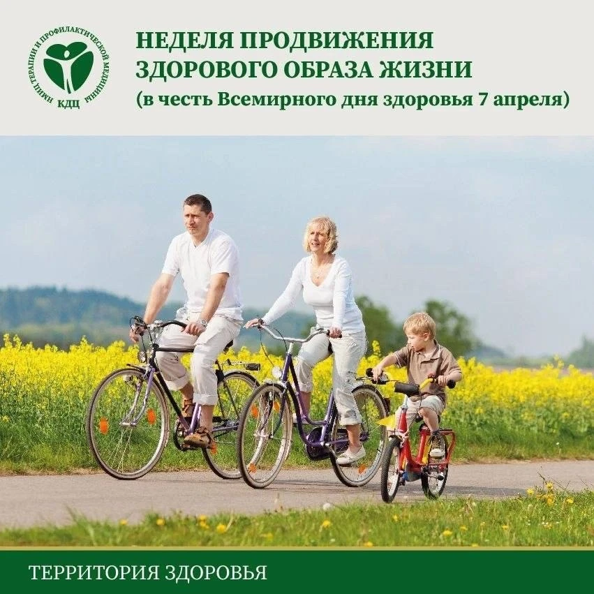 Формирование здорового образа жизни в семье включает:
Доверительные и тёплые отношения между членами