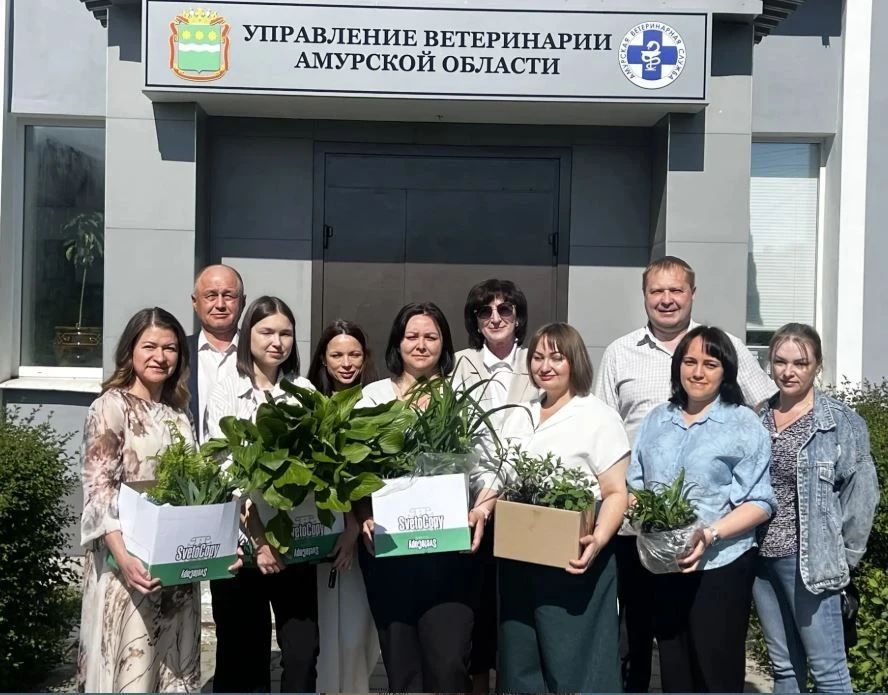 Ирисы, гортензии и колокольчики украсят территорию центра социальной помощи «Росток» в этом году. Ящ
