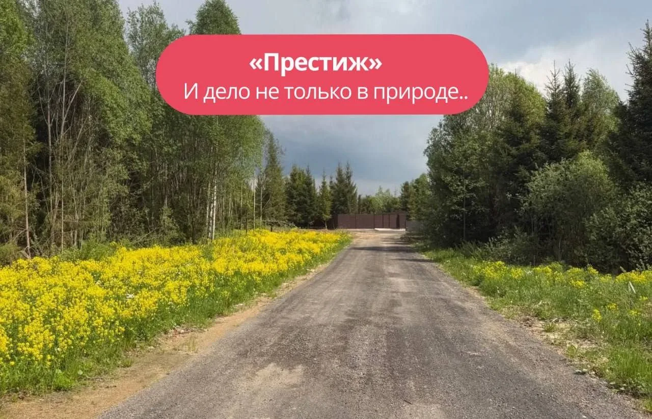🌿 Всё больше людей выбирают жизнь за городом. И дело не только в природе.

Это возможность начинать