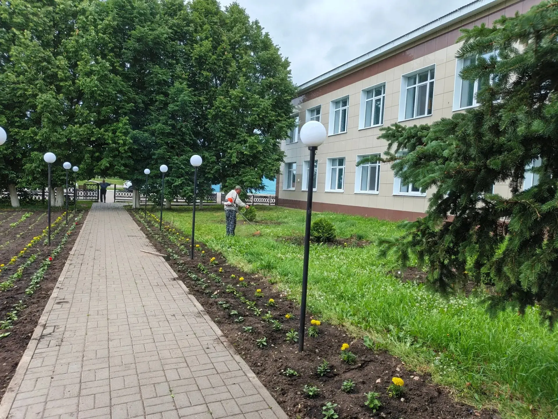 Практика 5 класса