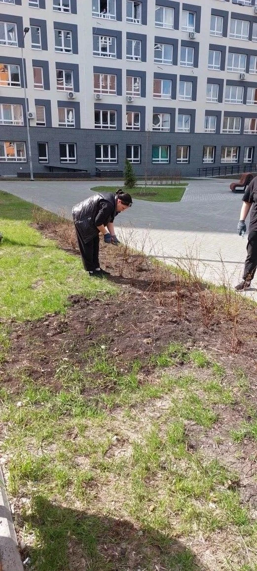 🌿Весенний период традиционно  становится началом периода, когда проводится осмотр зеленых насаждени