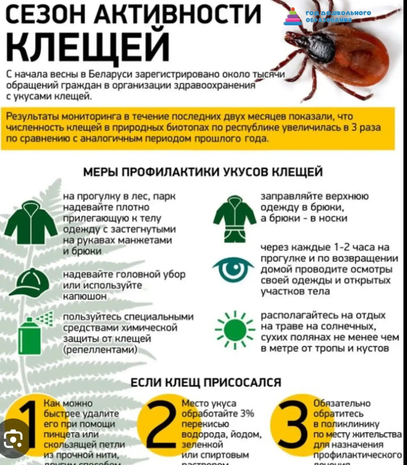 ПАМЯТКА ДЛЯ РОДИТЕЛЕЙ: АКТИВНОСТЬ КЛЕЩЕЙ — ЧТО НУЖНО ЗНАТЬ 

Клещи — маленькие паразиты, которые мог