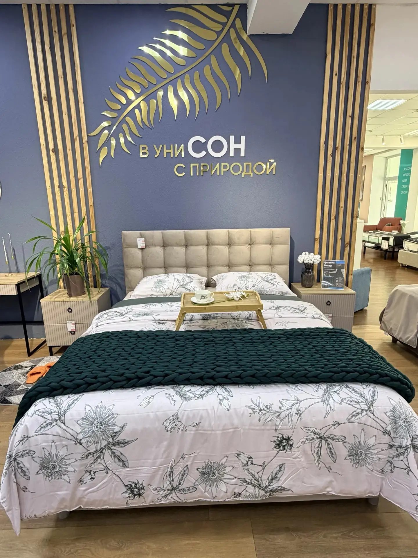 В салоне Аскона Тихорецк представлен широкий ассортимент кроватей на самый взыскательный вкус.

Изящ