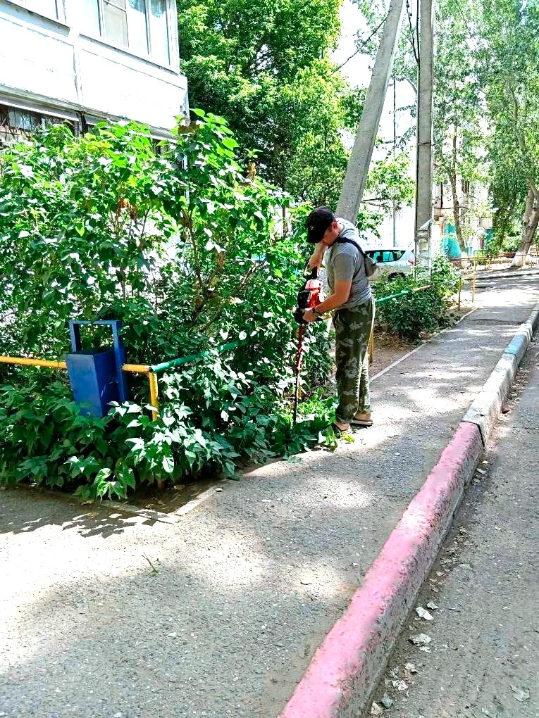 ✂️ «Зеленый парикмахер» 🌳

Побывал на Бульварной 6. Наши специалисты провели стрижку кустарников пе