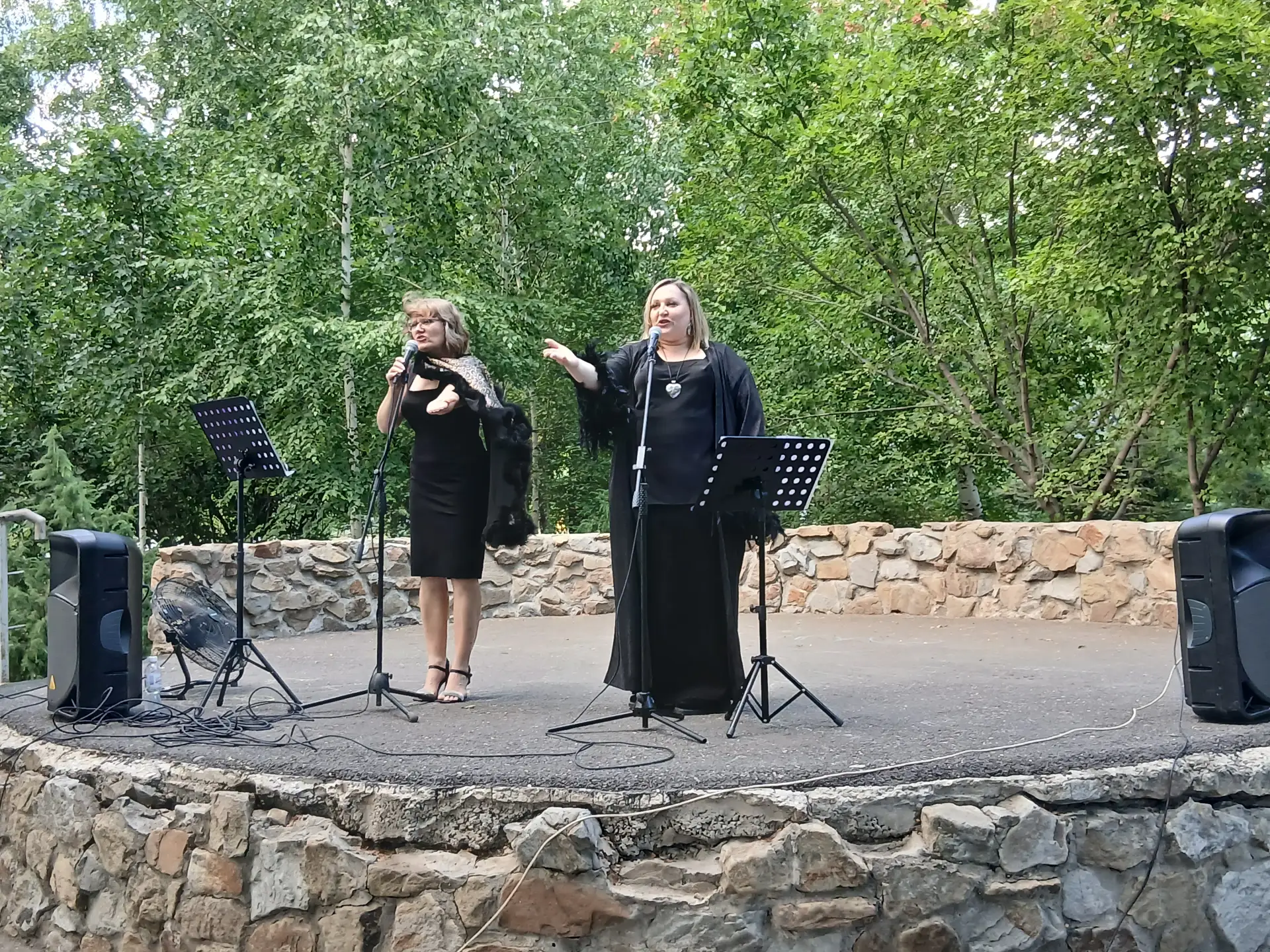 🎼 На Зеленой эстраде Парка «Гидростроитель» состоялся концерт «Спасибо, жизнь!».
   
    В программ