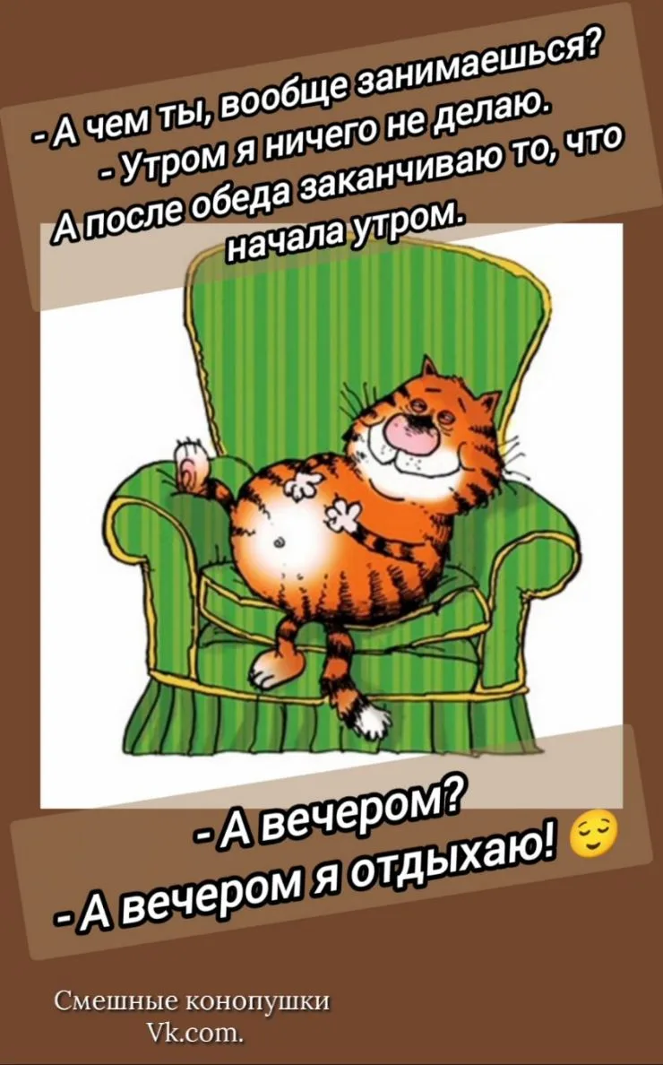 Замечательный режим дня. 😆