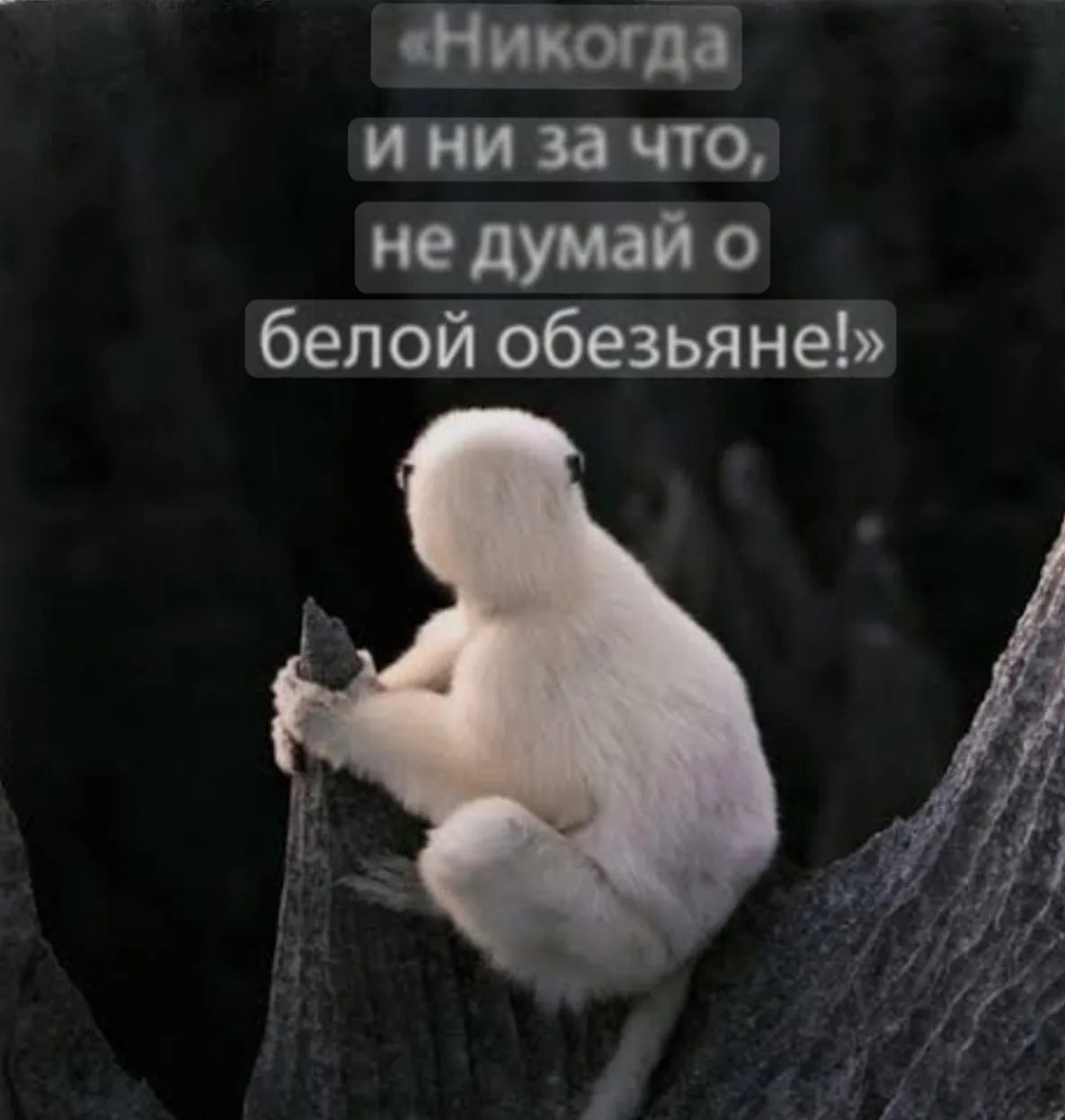 Есть такой смешной эффект мозга: стоит решить, что красная машина — твоя мечта, как двор превращаетс