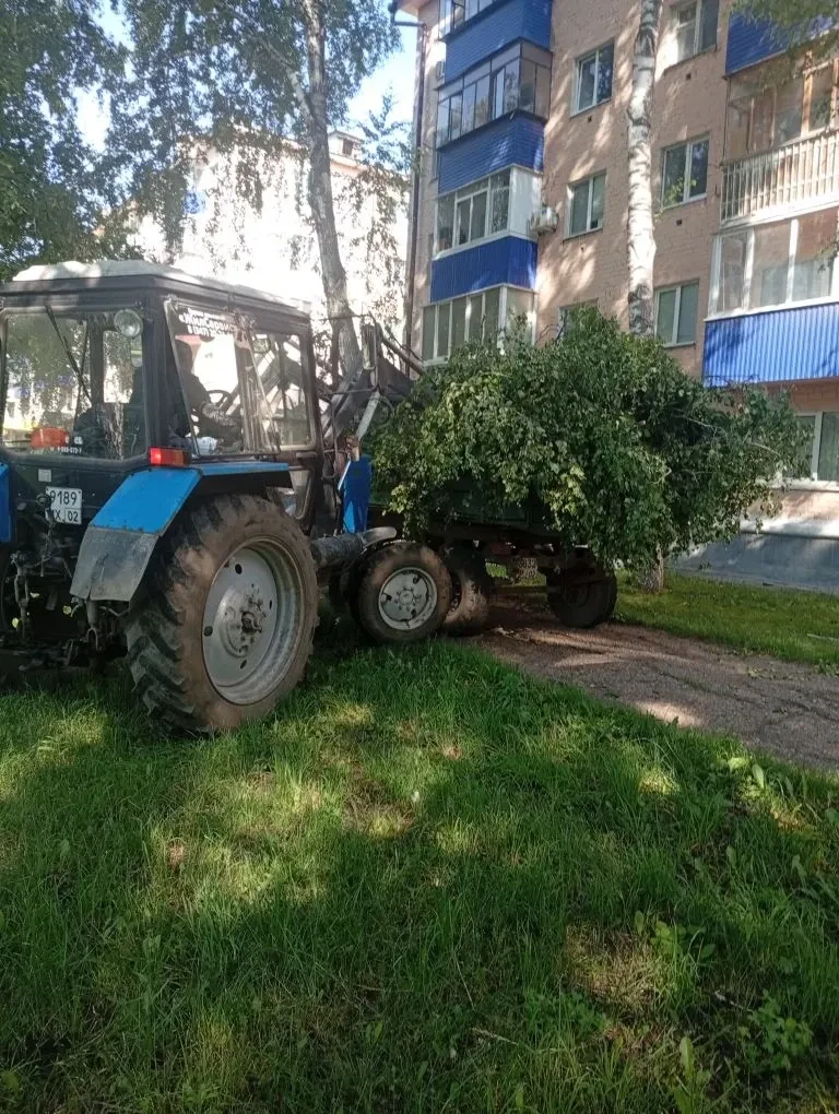 🌳 Благоустройство придомовых территорий:

📍Погрузка и уборка мусора: ул. Одесская д. 40а, пр. Лени