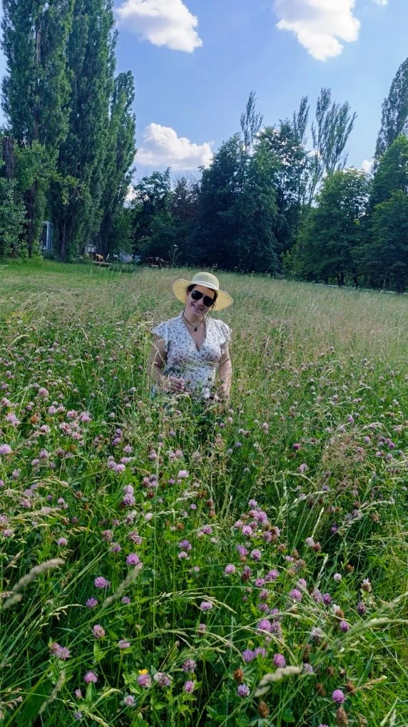 🫖Чай из цветков клевера — это не только ароматный напиток, но и средство с множеством полезных свой