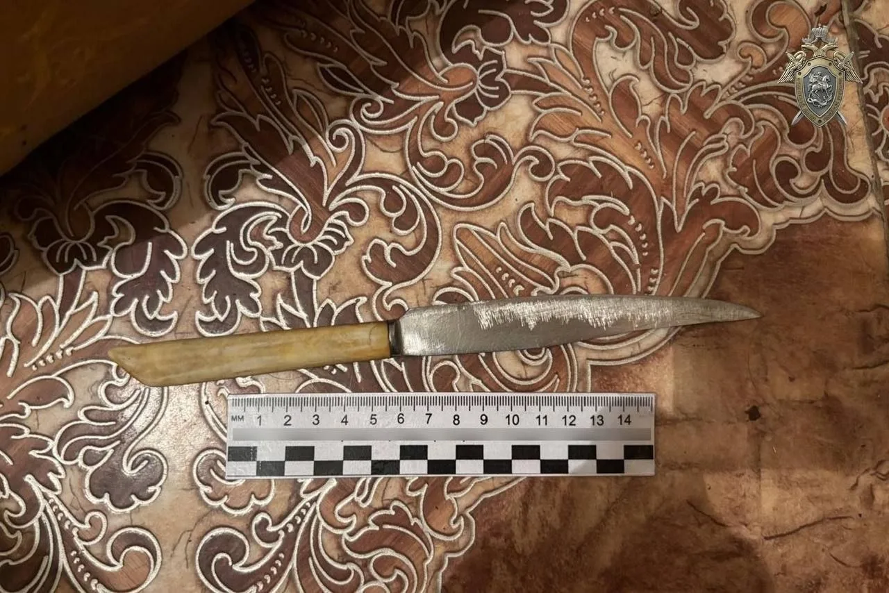 😰❗️В Благовещенске соседка с ножом напала на женщину в подъезде — дело направлено в суд

Следственн