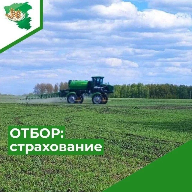 Объявляется отбор на предоставление субсидии на возмещение части затрат на уплату страховой премии, 