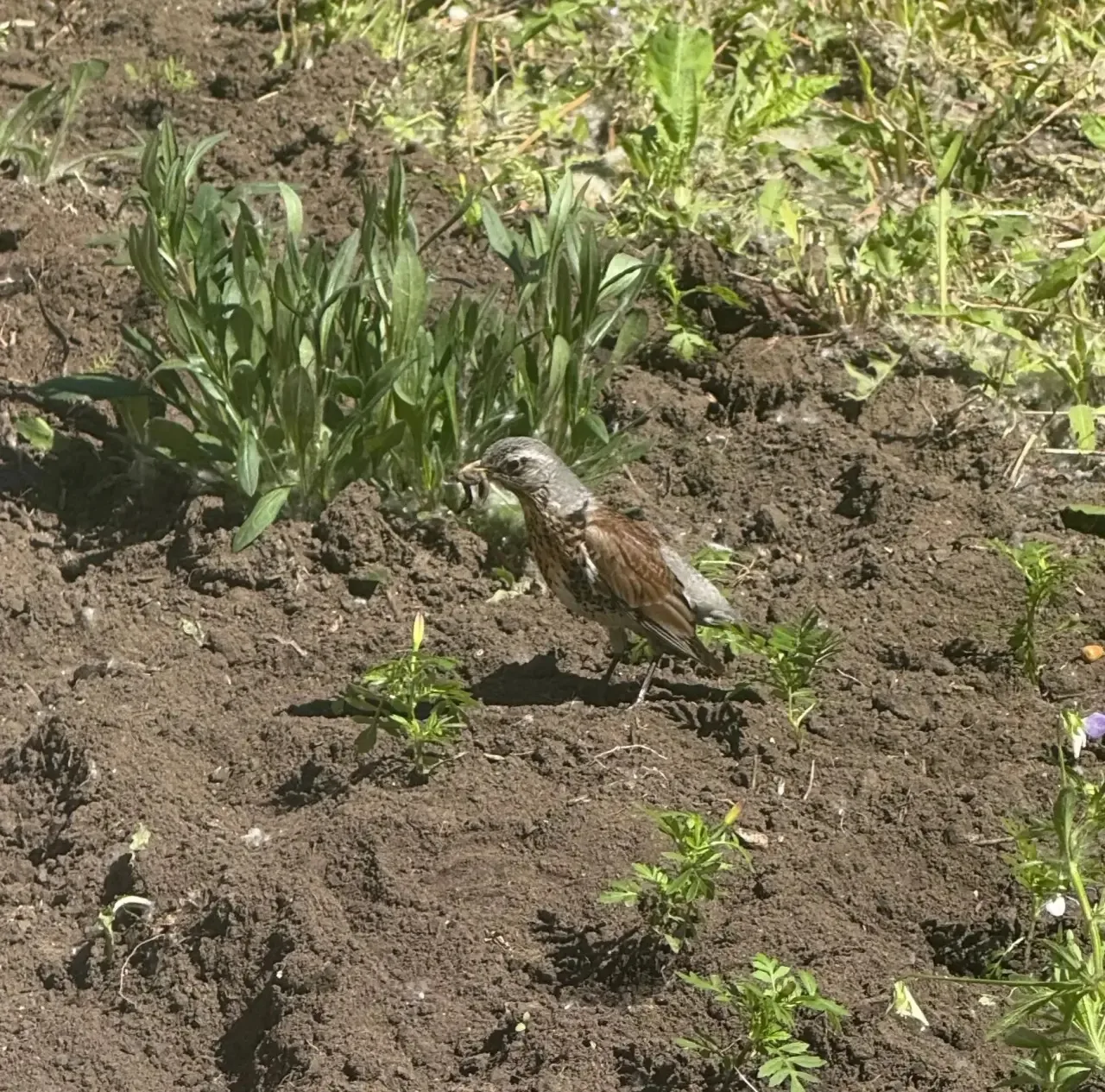Летние каникулы — время заботы и преображения школьной территории 🌸🌿☀️

Пока ребята наслаждаются д