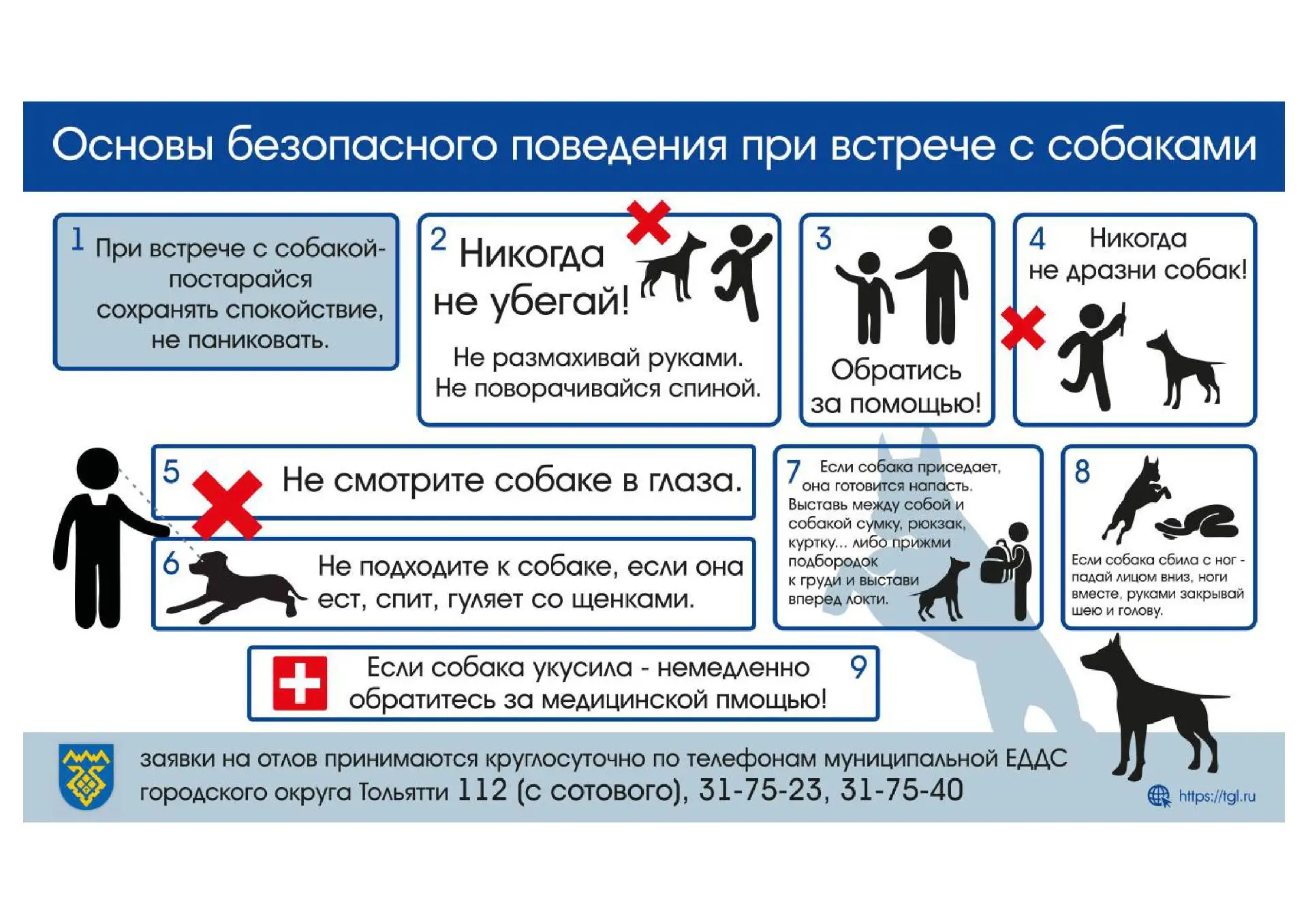 🐕ПАМЯТКА ПО ОТВЕТСТВЕННОМУ ОБРАЩЕНИЮ С ЖИВОТНЫМИ 

Отношения в области обращения с животными в целя
