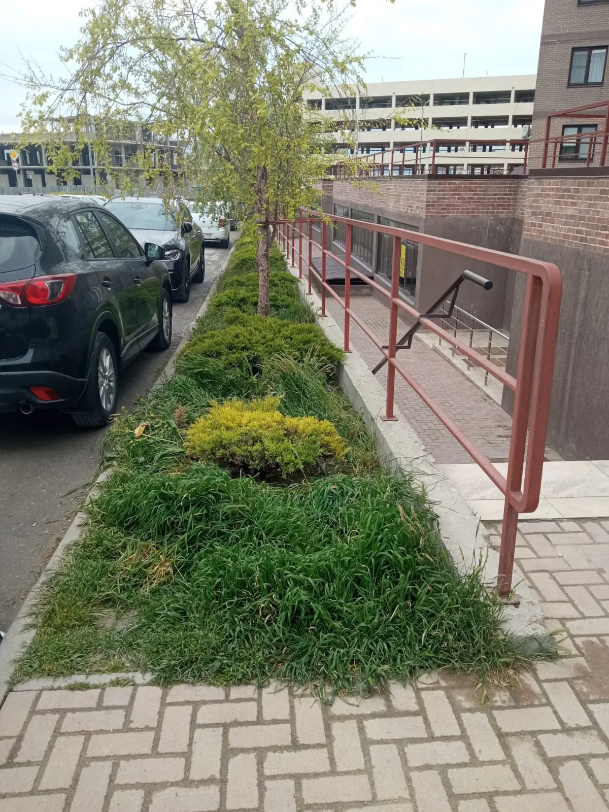 Доброе утро. Сегодня, 15.05. с 15-00 будет проводиться обкос клумбы со стороны торца Хворостянского 