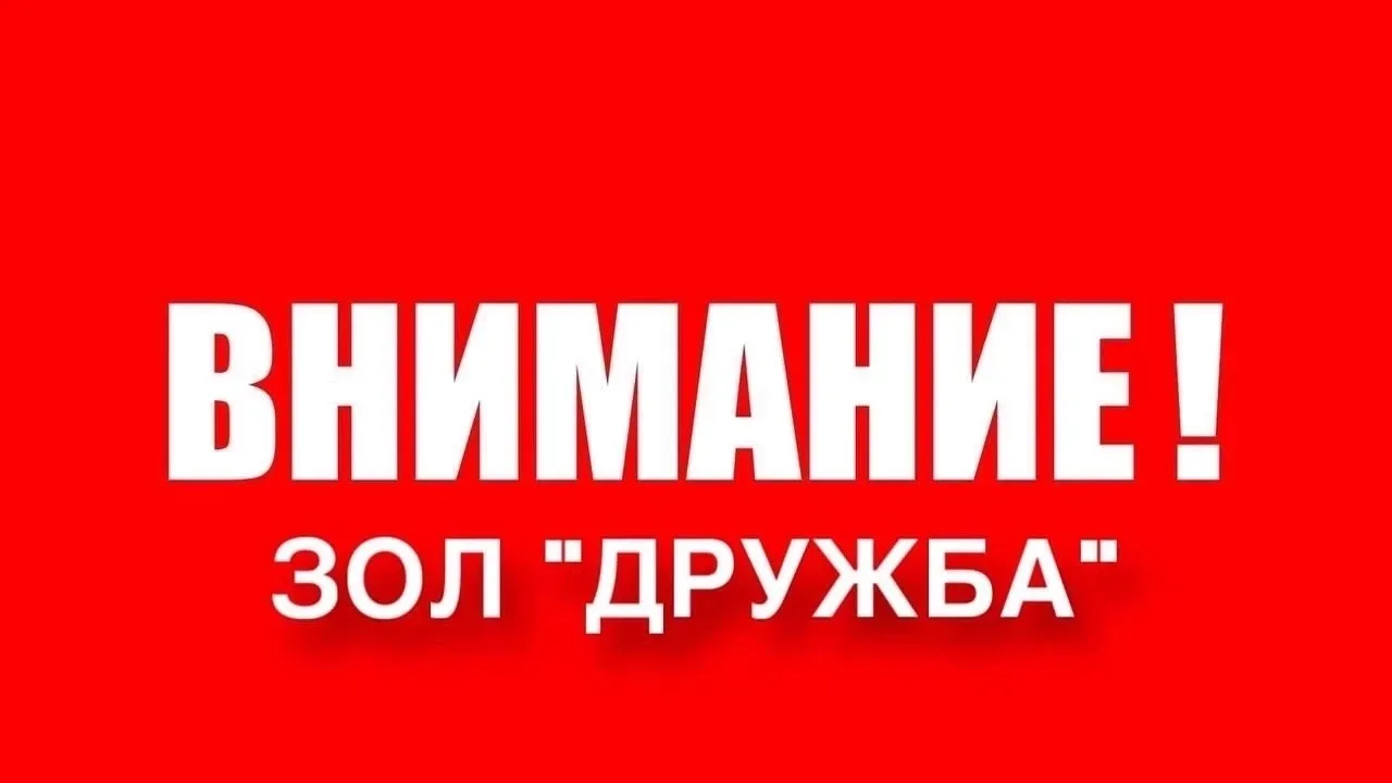 🚌 Внимание, родители! Важная информация об отправке детей в ЗОЛ «Дружба»

🌳 Лето — время ярких пут