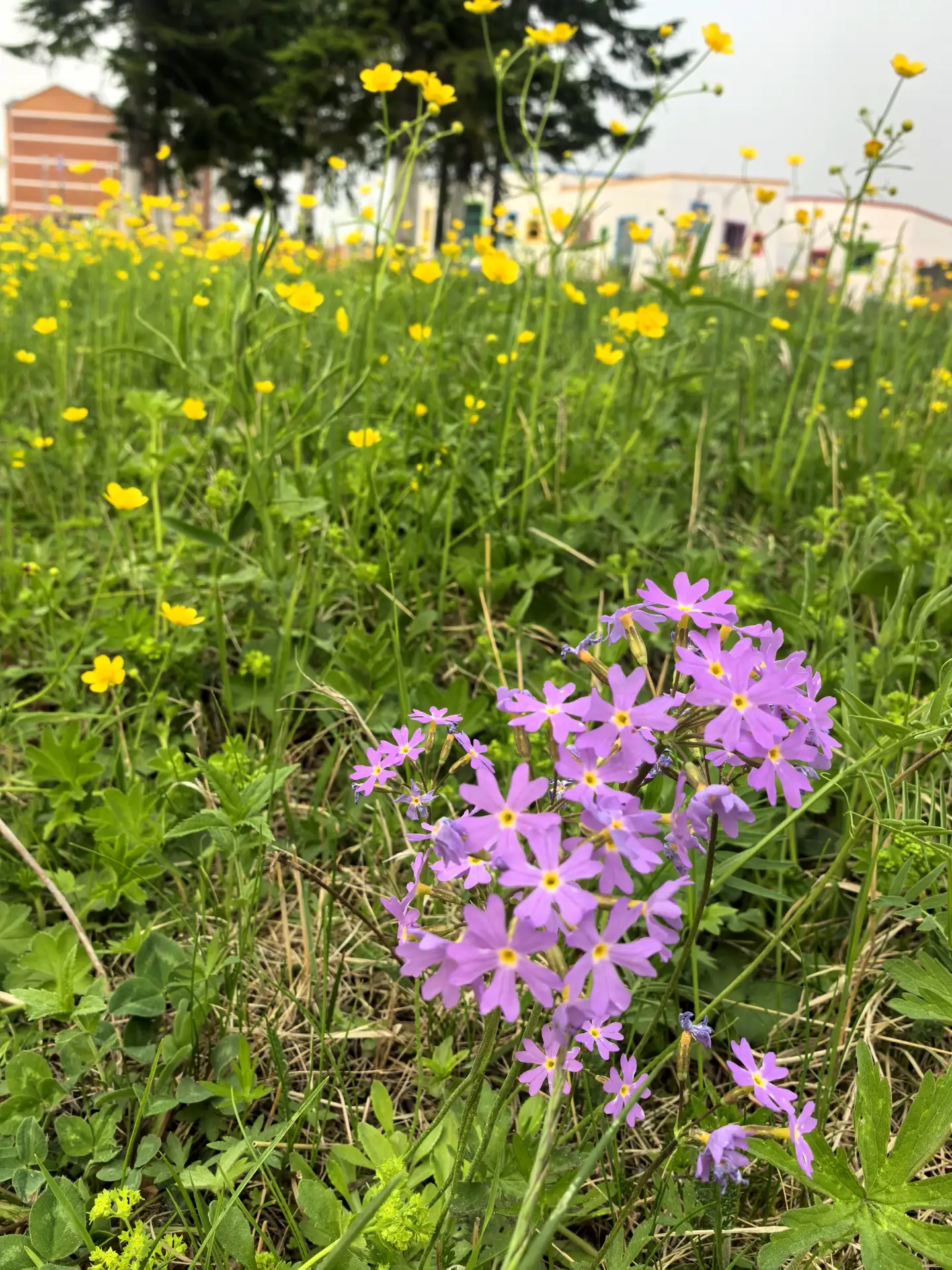 С добрым утром, любимый округ ☀️

#ОфициальныйСЕ