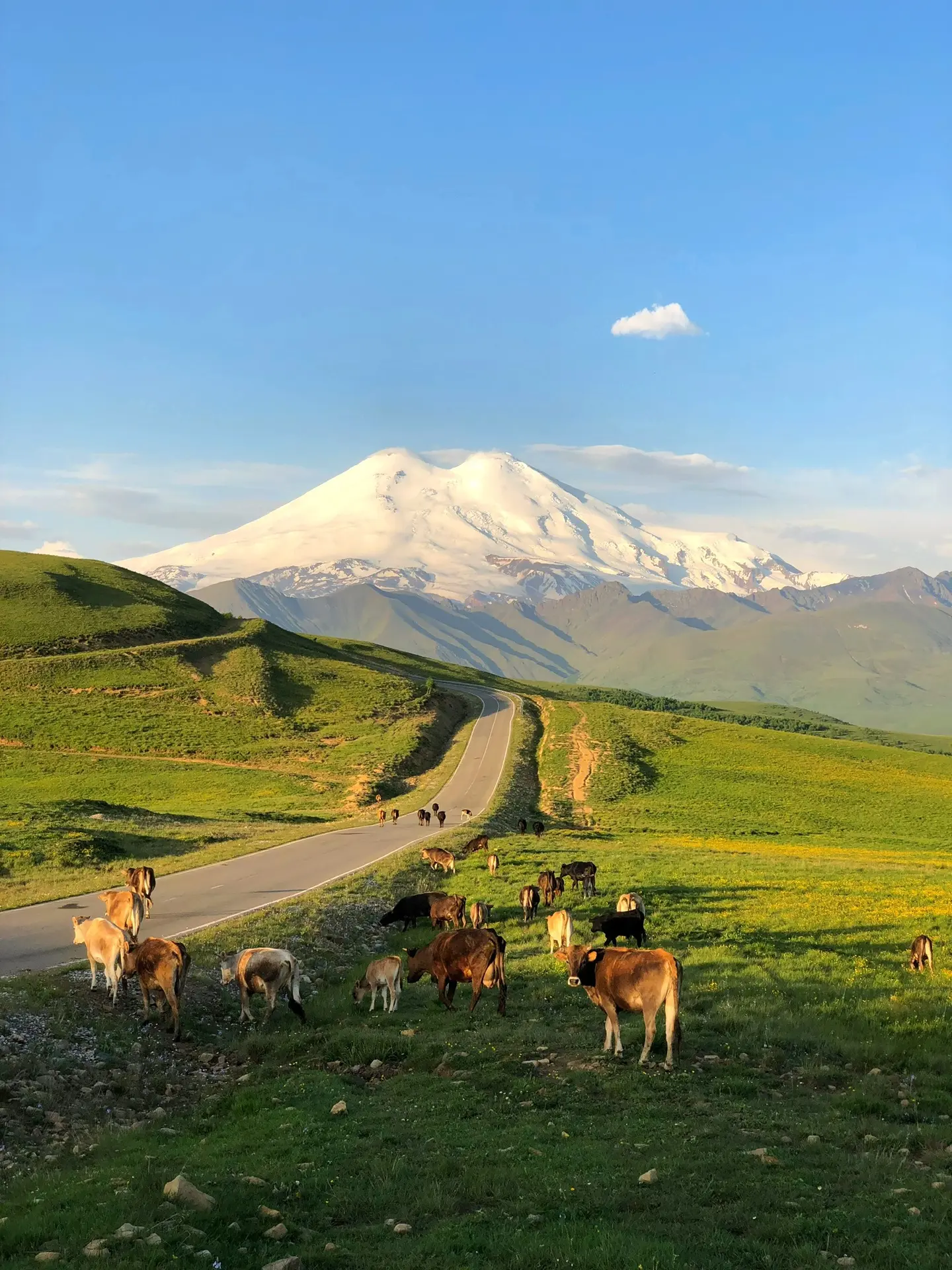 "Я сердце оставил в Кавказских горах"❤️⛰️

Доброе утро, друзья ! 
Всем отличного настроения и ярких 