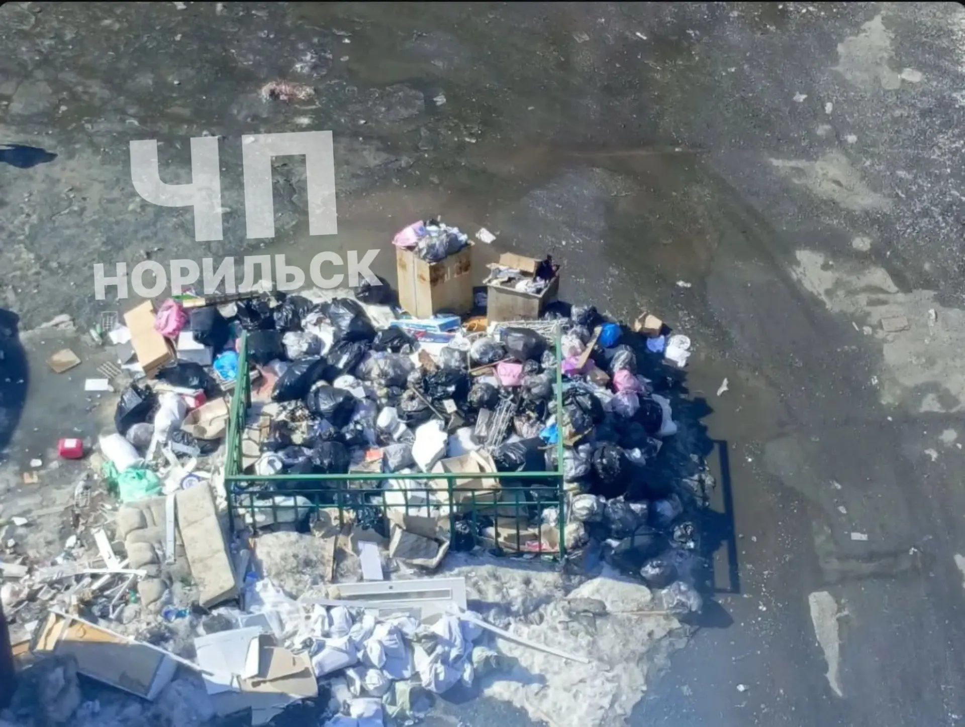 ⚡️Норильчане жаловались на мусор, а подрядчик воровал

Директор ООО «Профит» получил 6 лет колонии з