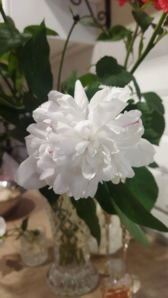 Доброе утро! 🌸 Пусть сегодняшний день подарит вам много поводов для улыбки, тёплых встреч и приятны