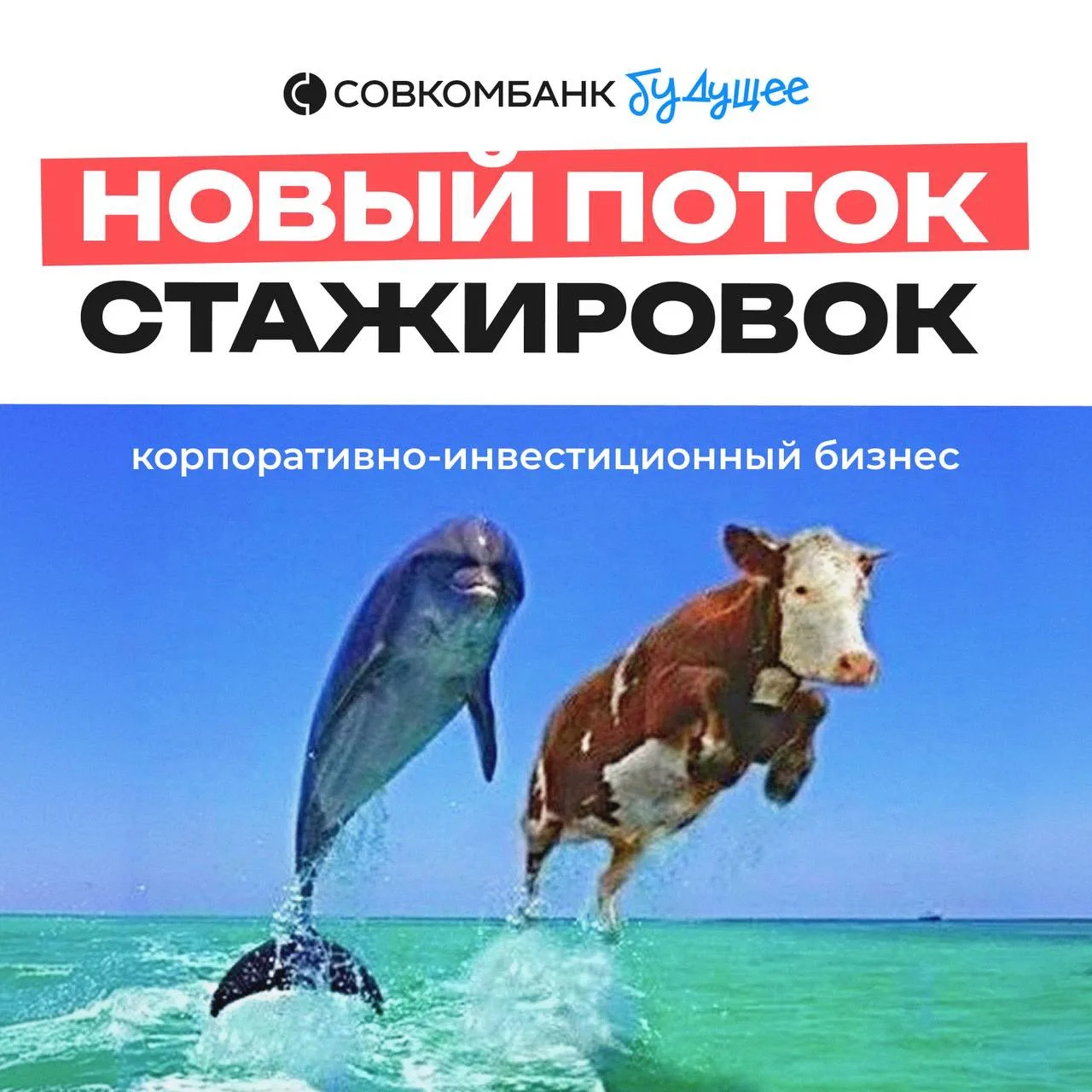 Запускаем новый сезон стажировки в корпоративно-инвестиционном бизнесе Совкомбанка
Зовём студентов с