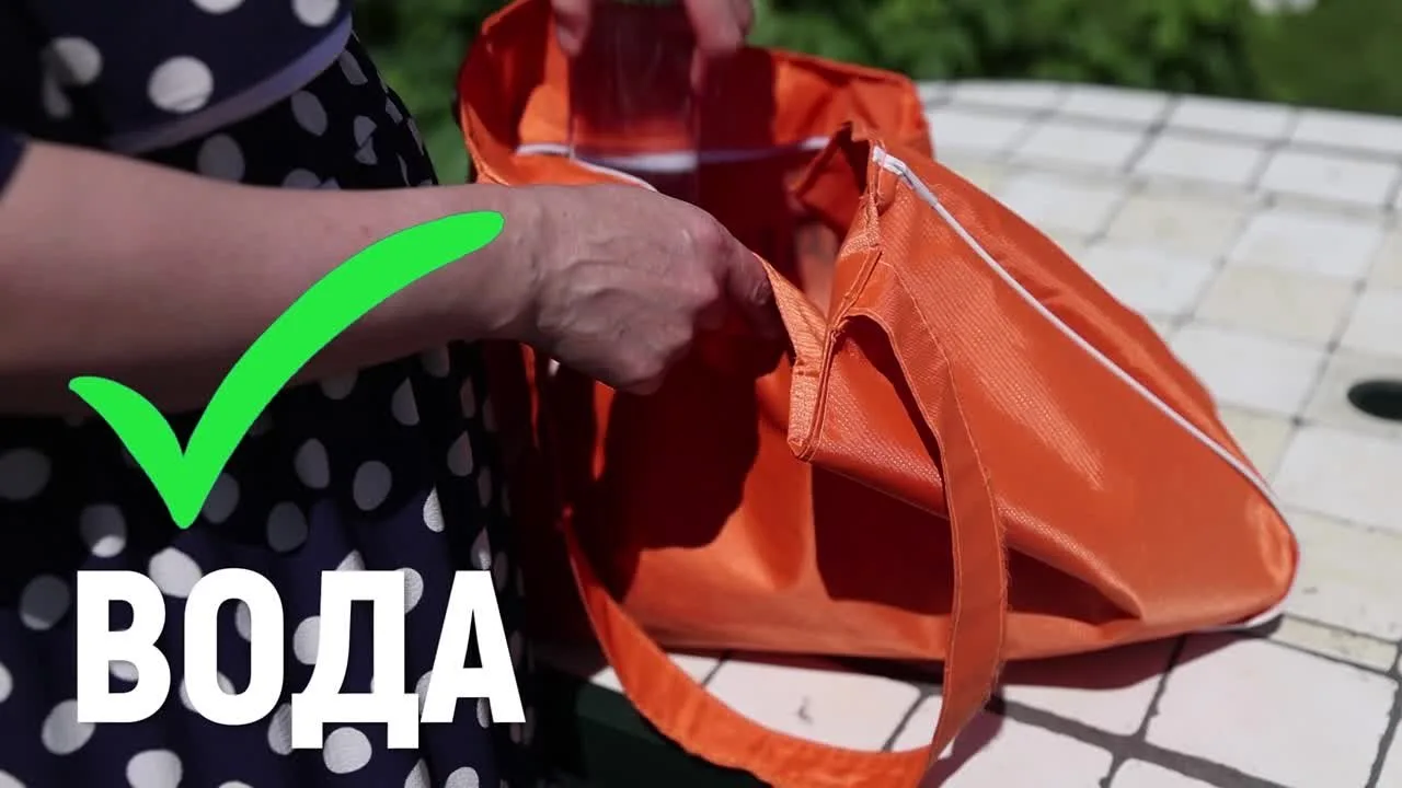 Видео: https://vk.ru/video-217485032_456239323