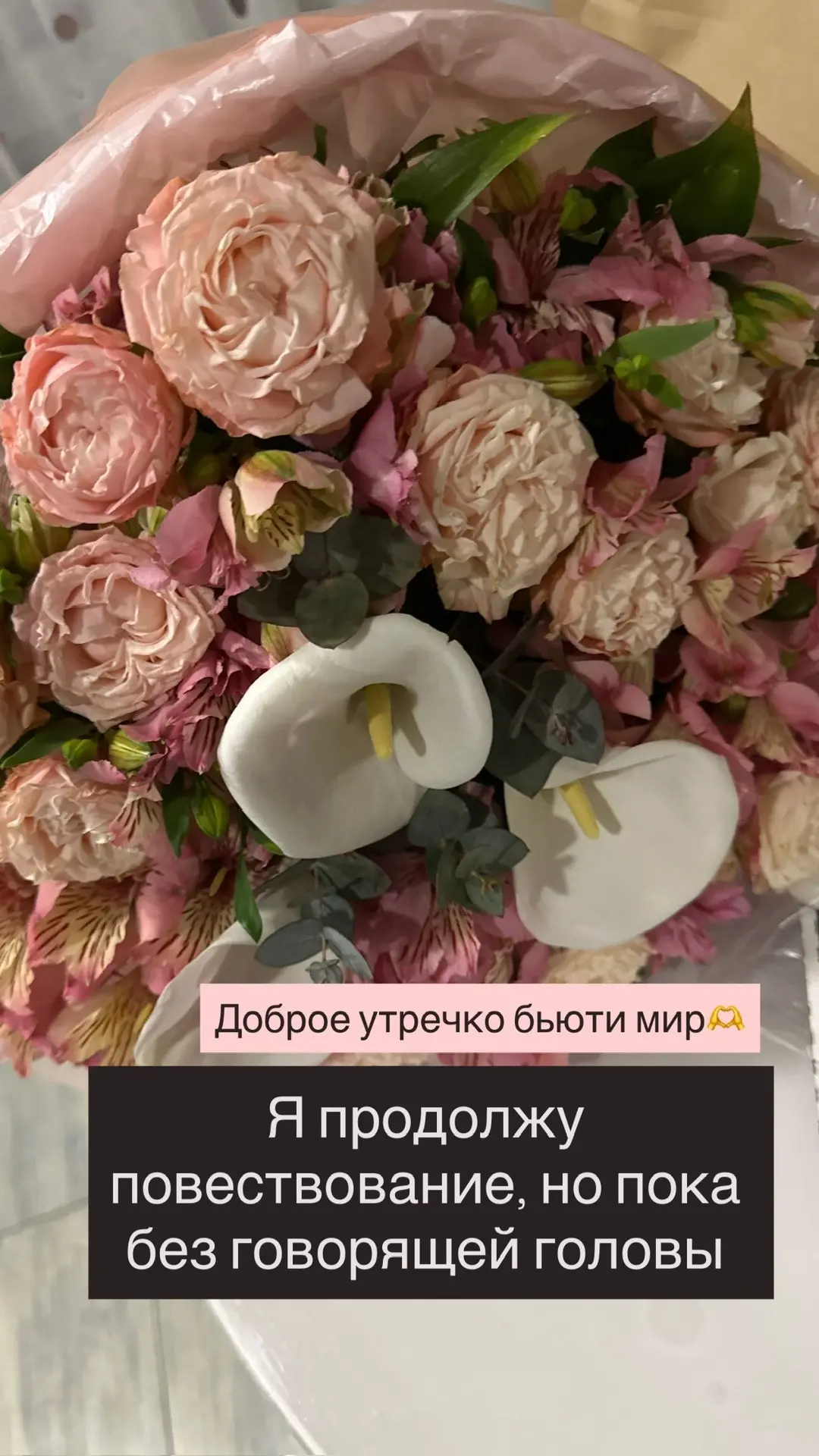 Я продолжаю 😄