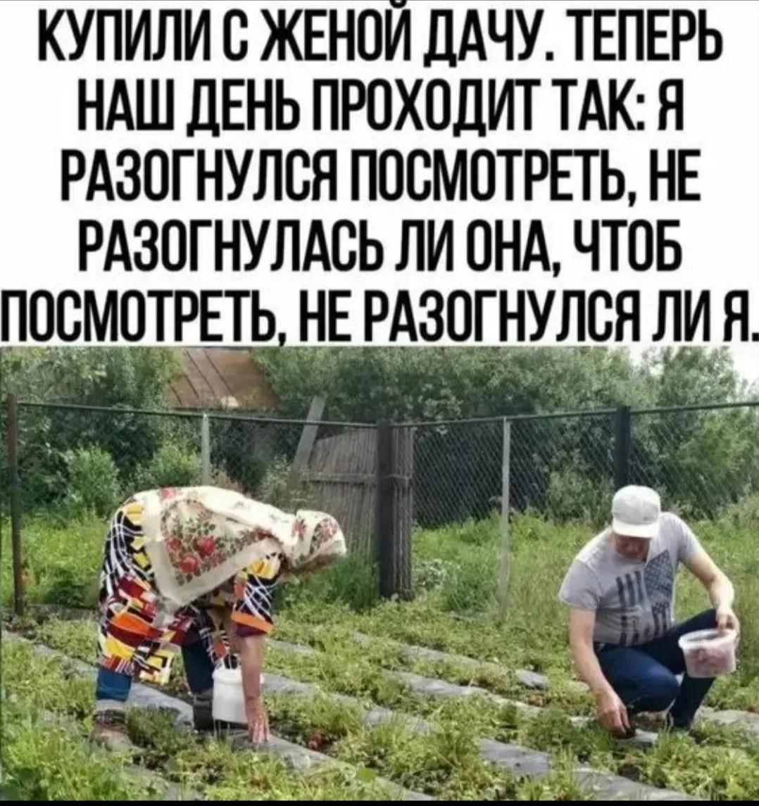 🎭  Юмор от подписчиков..

Подпишись, чтобы не потерять👇 

📌 Юмор по ГОСТу