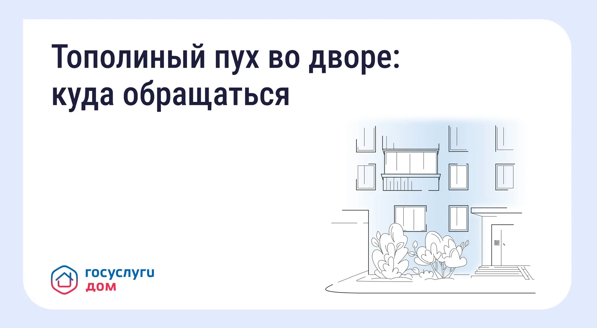 🌳 Что делать, если двор заполонил тополиный пух

С наступлением лета во многих регионах России начи