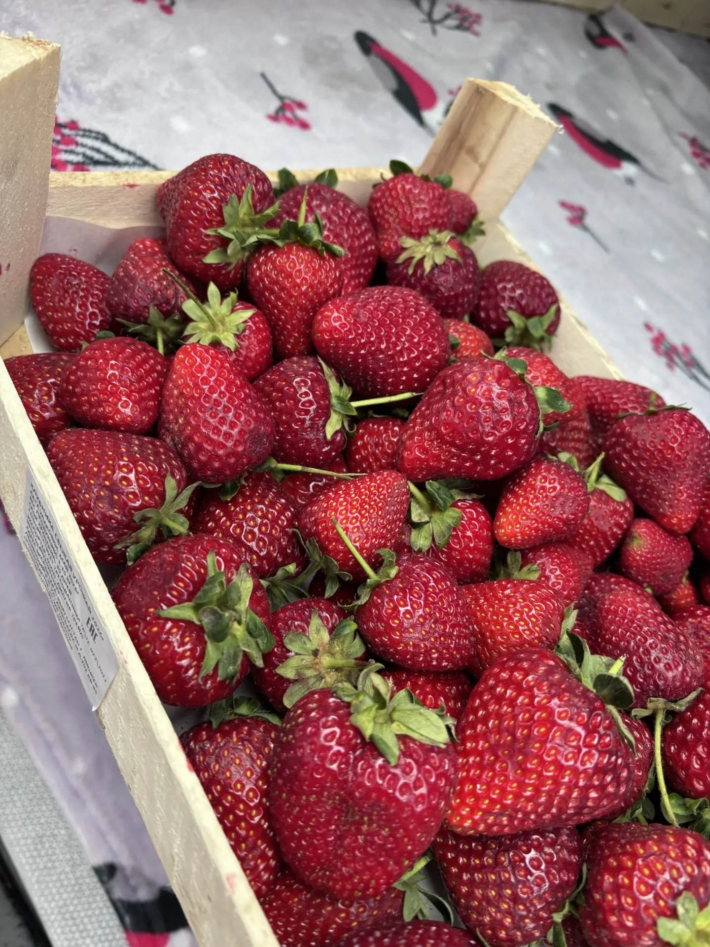 Ягода в наличии

1.400 ящик/2 кг🍓

📍Толевая 4