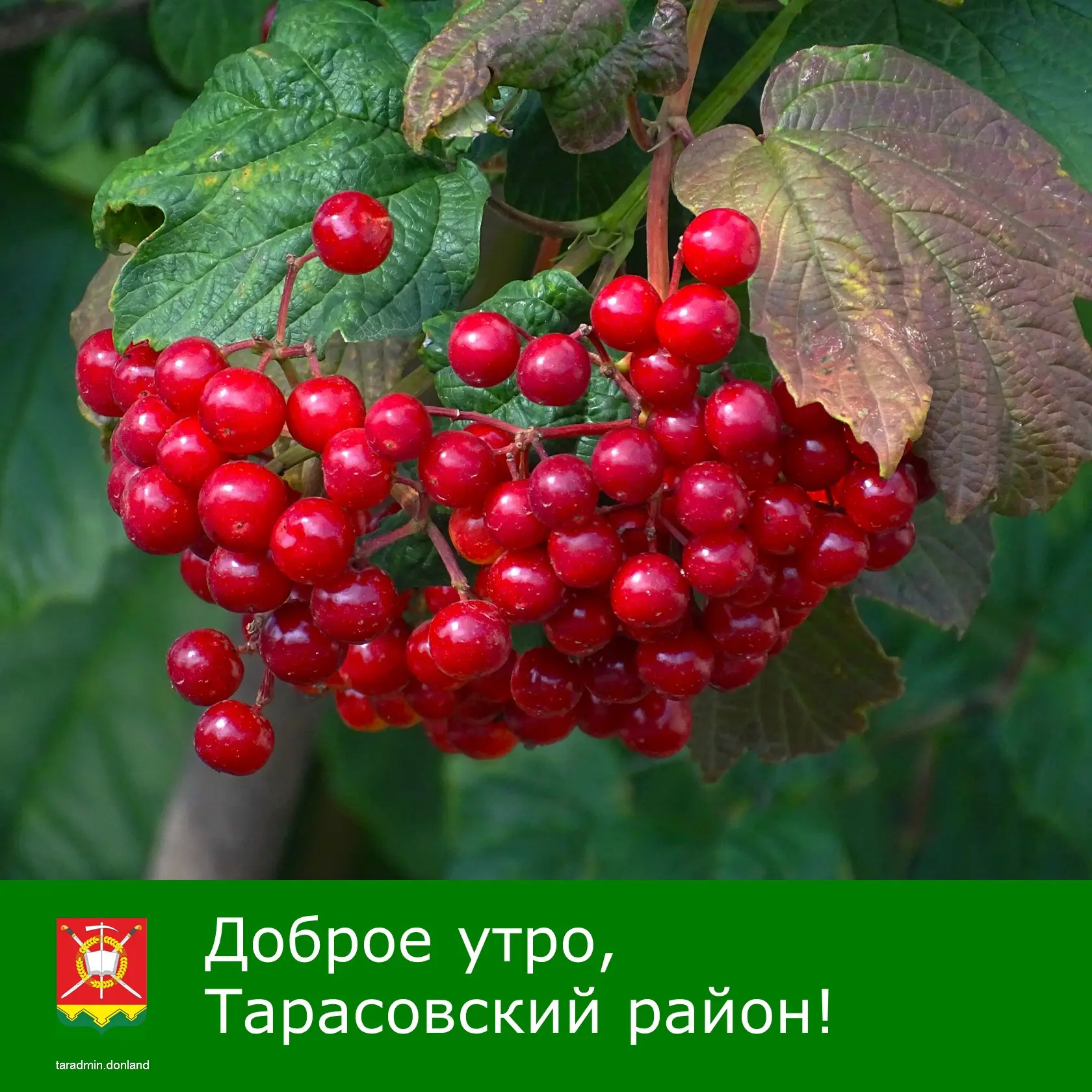 Доброе утро, уважаемые жители Тарасовского района!

Научитесь просыпаться и думать о хорошем, тогда 