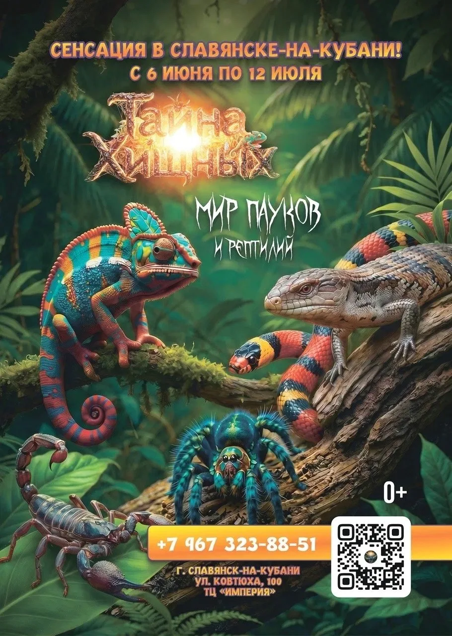 🔥 ВНИМАНИЕ! ВНИМАНИЕ! ВНИМАНИЕ! 🔥СЕНСАЦИЯ В СЛАВЯНСКЕ-НА-КУБАНИ! 🕷🦎

Такого город еще точно не в