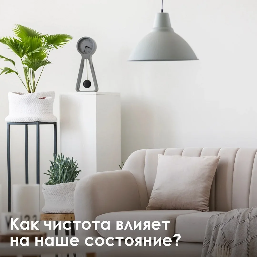 Как чистота и порядок влияют на наше психическое состояние и производительность?
 Рассказываем👇🏼

