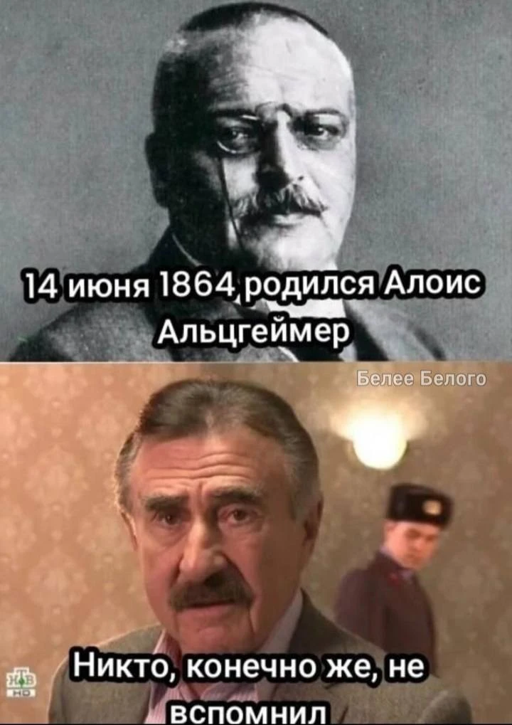 🐈‍⬛ Белее Белого