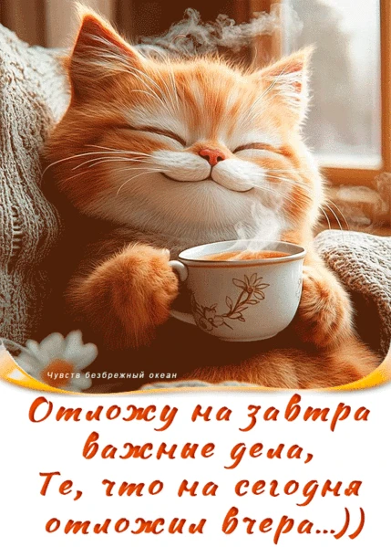 Приятного вам вечера!